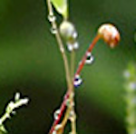birgit2604-blog