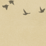 heixle-blog